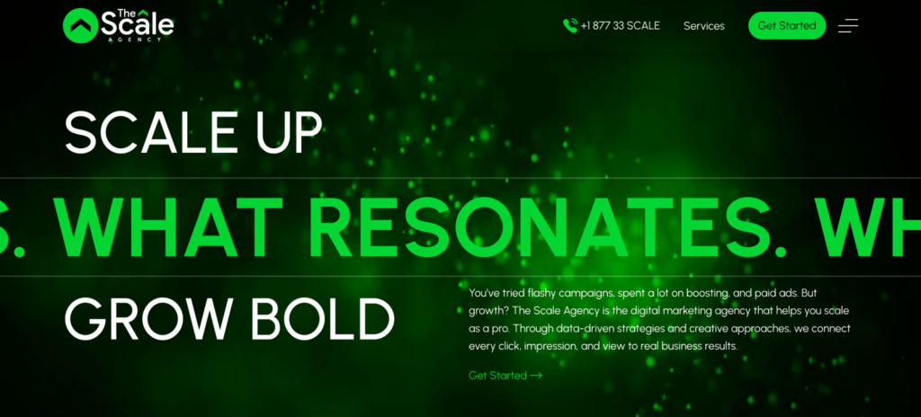 Image - The Scale B2B SEO Agency