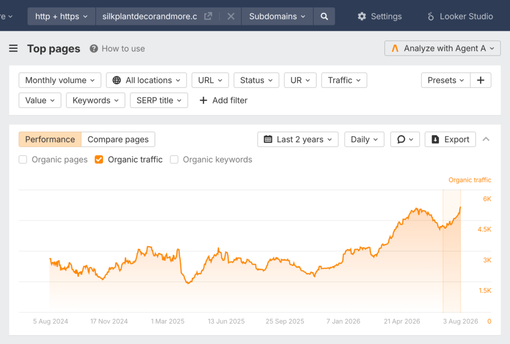 Image - Silk Plant - AI SEO Results